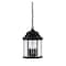 Designers Fountain Erving 3-Light Black Outdoor Hanging Lamp with Clear Glass Shade 2984-BK - alternate 1